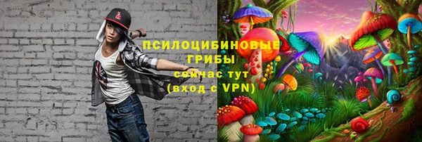 a pvp Вязники